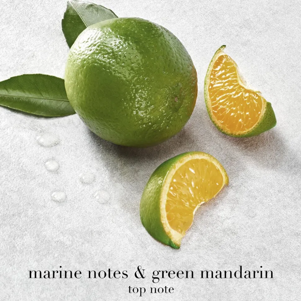Acqua di Giò Eau de Parfum