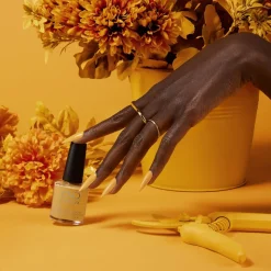 Among The Marigolds CND VINYLUX