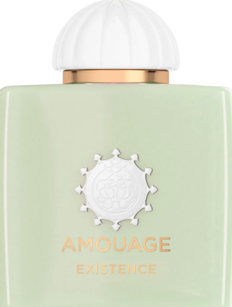 AMOUAGE EXISTENCE EDP 100 ML