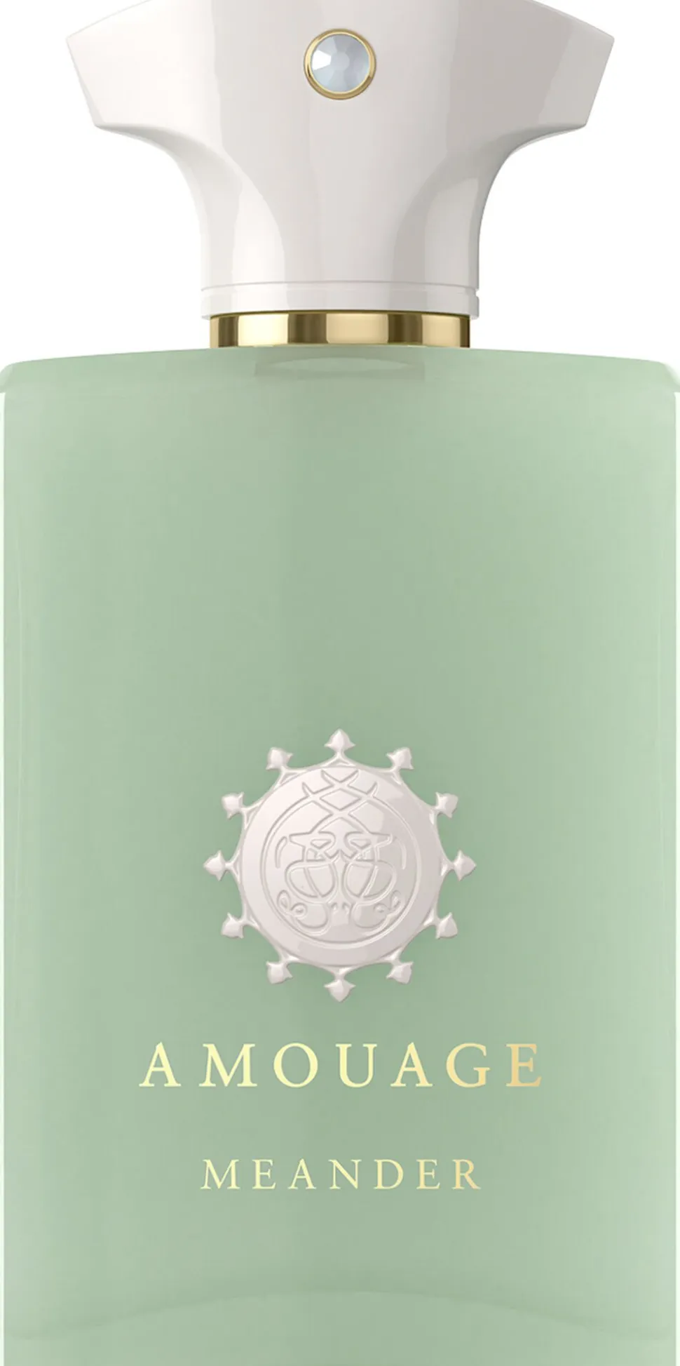 AMOUAGE MEANDER MAN EDP 100ML