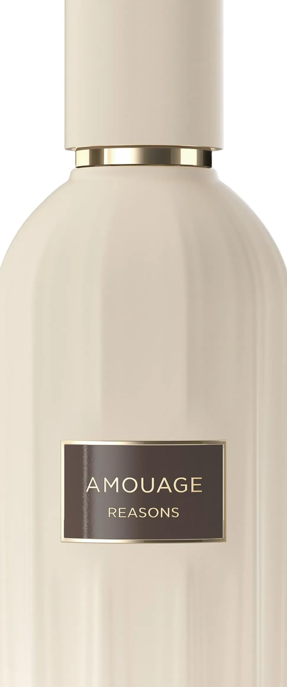 Amouage Reasons Essence De Parfum 100 ml