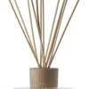 Ample Fragrance Sticks