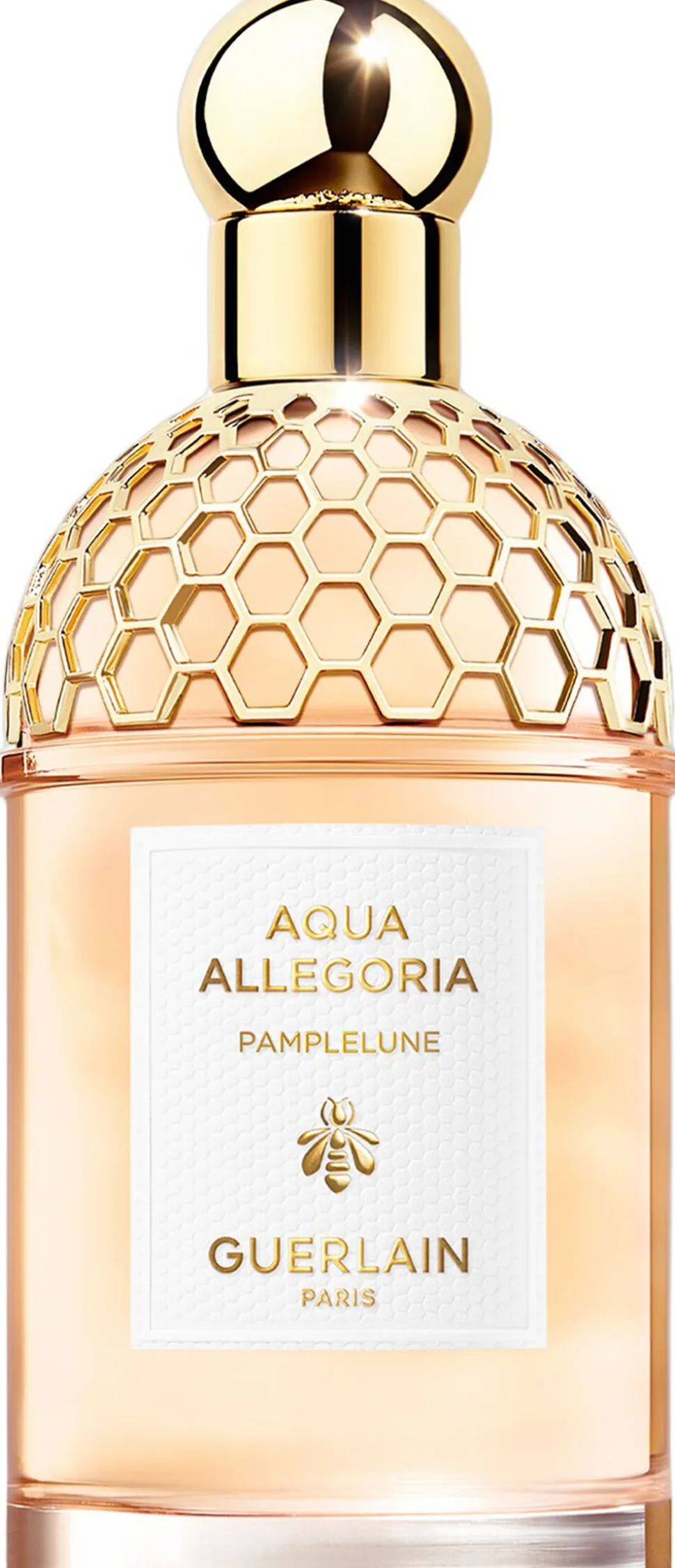 Aqua Allegoria Pamplelune EdT 125ml
