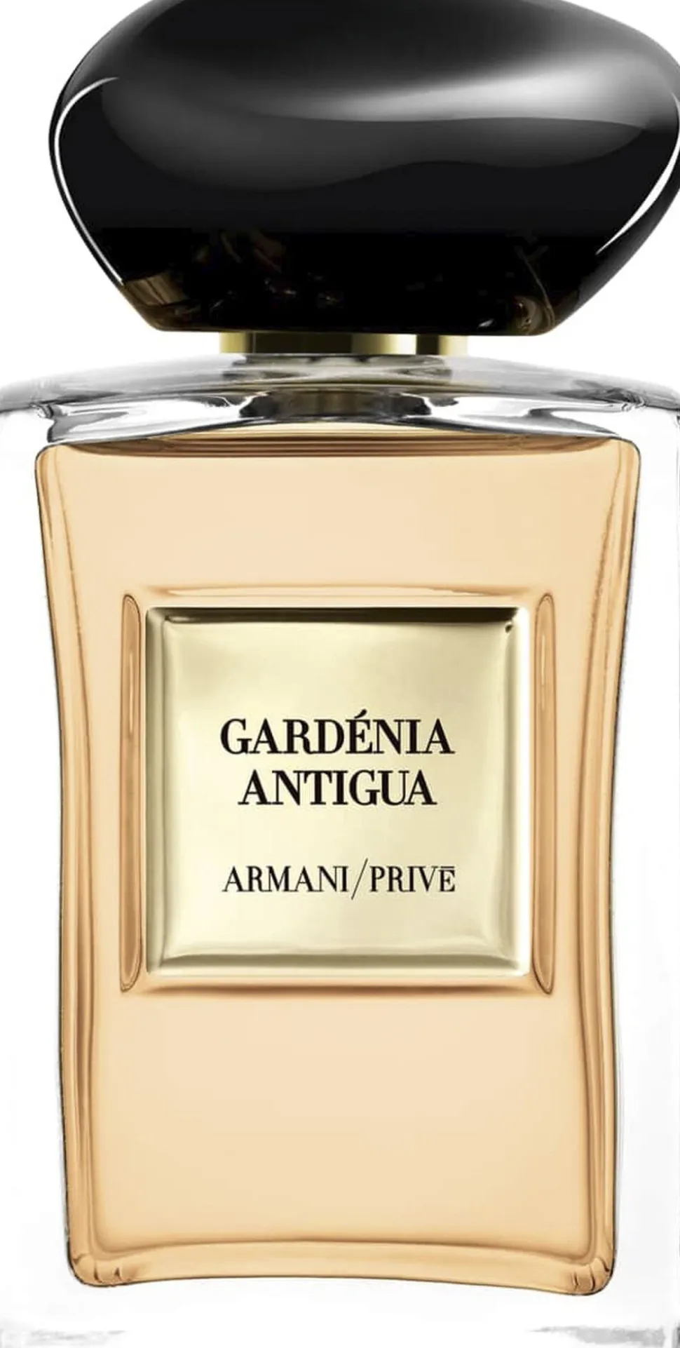 Armani Privé Gardénia Antigua Eau de Toilette