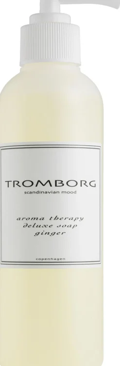 Aroma Therapy Deluxe Soap Ginger