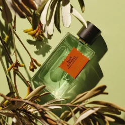 BLUE CYPRESS Perfume 100ml
