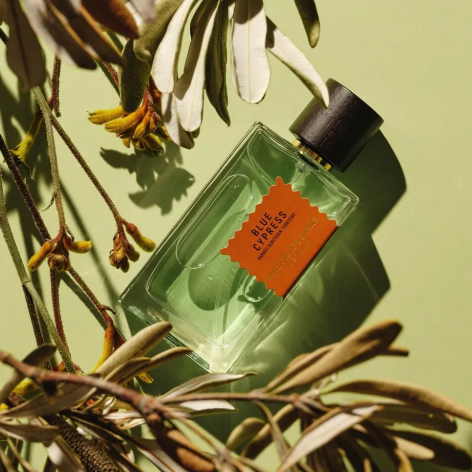 BLUE CYPRESS Perfume 100ml