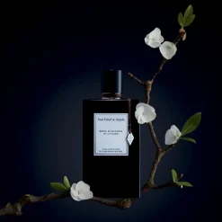 Bois D'amande Eau de Parfum