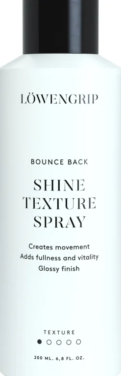 Bounce Back - Shine & Texture Spray