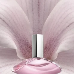 Calvin Klein Euphoria Eau de Toilette