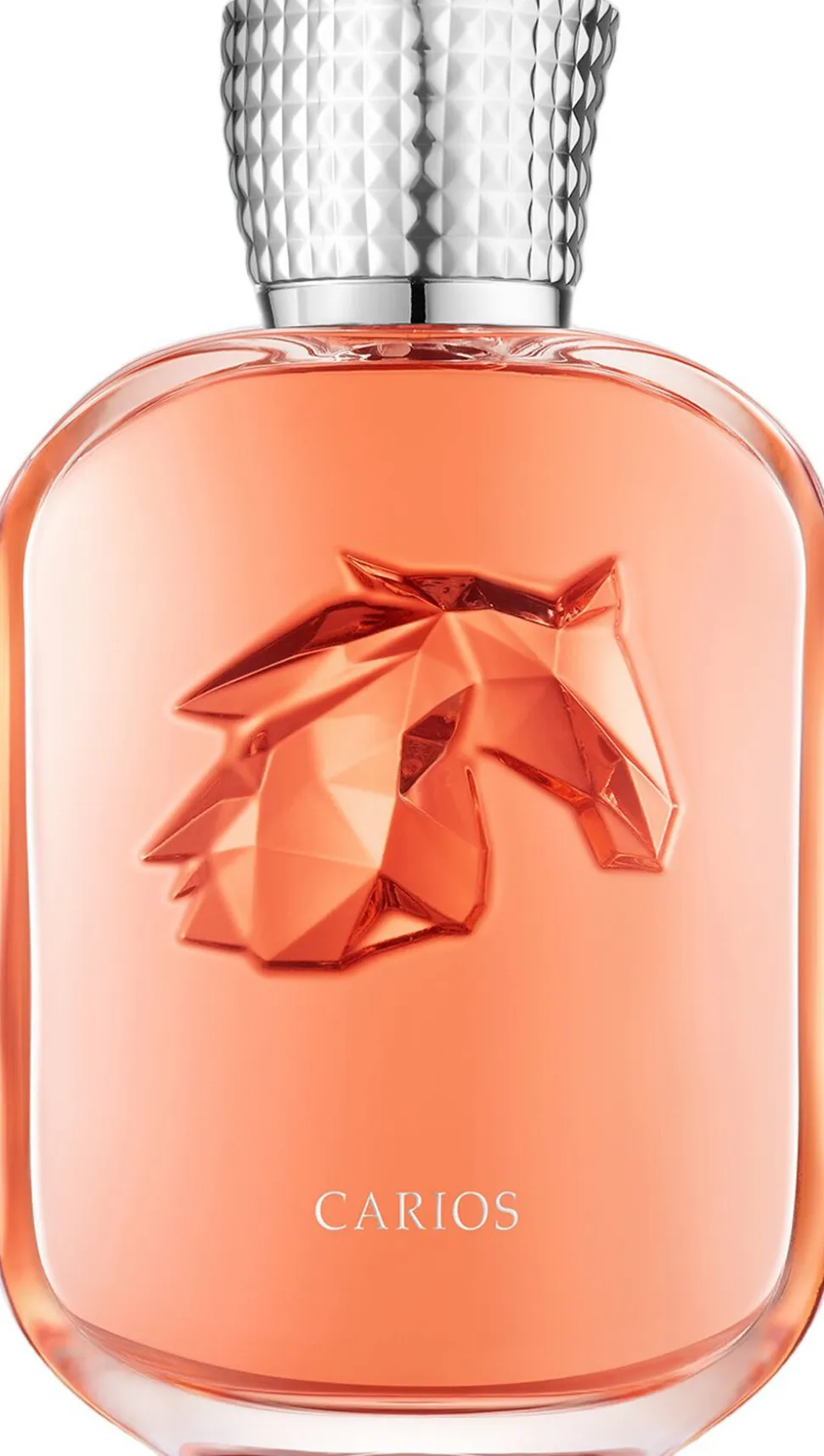 CARIOS EDP 100 ML