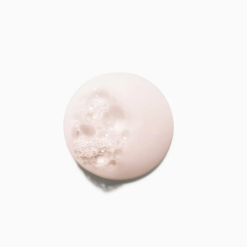Chroma Absolu Bain Chroma Respect Shampoo