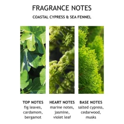 Coastal Cypress & Sea Fennel Body Lotion