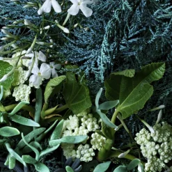 Coastal Cypress & Sea Fennel Fine Liquid Hand Wash