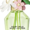 Daisy Wild