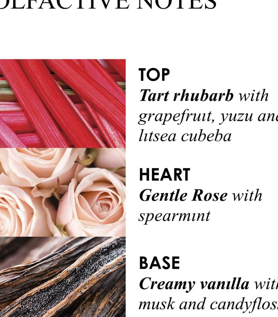 DELICIOUS RHUBARB & ROSE HAND WASH REFILL