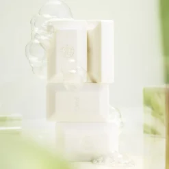 Desertland Bar Soap