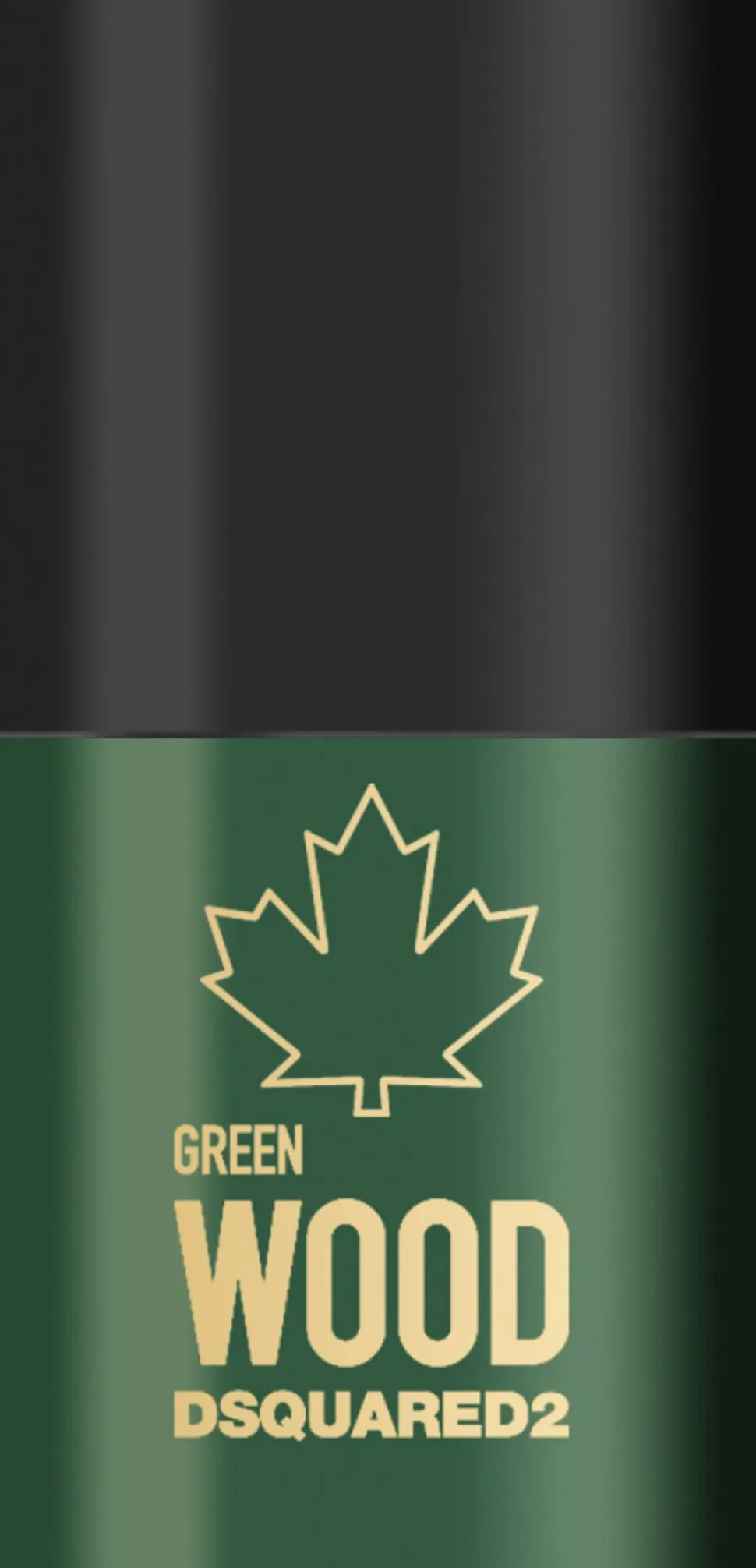 DSQUARED2 Green Wood Men Deodorant stick 75 ML