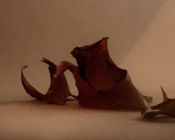Eau de Parfum | 1917 | 50 mL