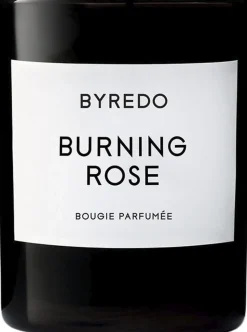 FC Burning Rose