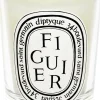 Figuier Scented Candle