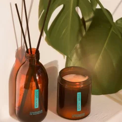 FRAGRANCE DIFFUSER MINT BASIL 220 ML