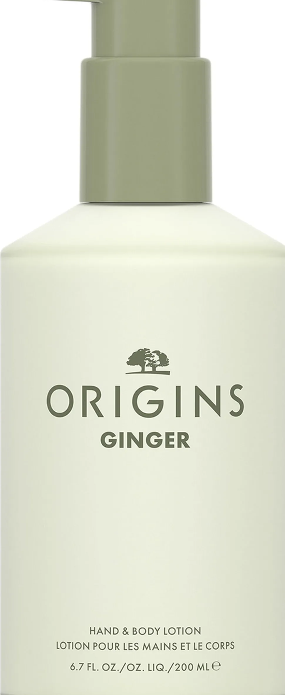 Ginger Hand & Body Hydrating Lotion