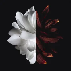 Givenchy L'Interdit rouge Eau de parfum