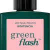 Green Flash - Hortensia