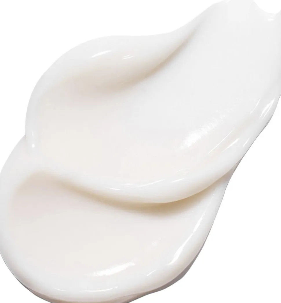 Green Tea Seed Hyaluronic Cream - Hydrating Cream