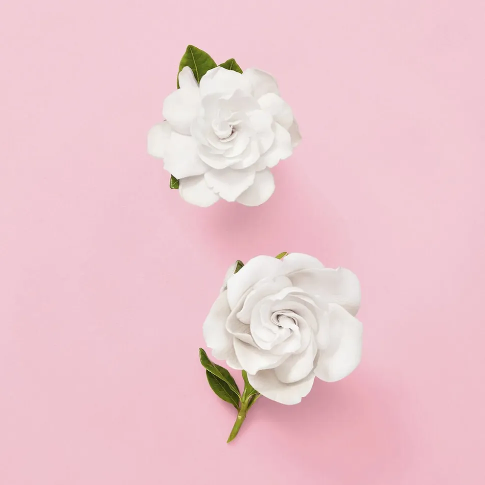 GUCCI Flora Gorgeous Gardenia Eau de parfum