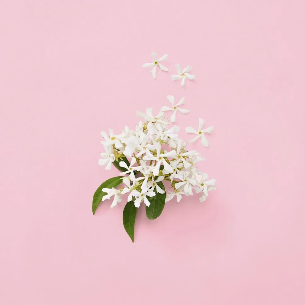 GUCCI Flora Gorgeous Gardenia Eau de parfum