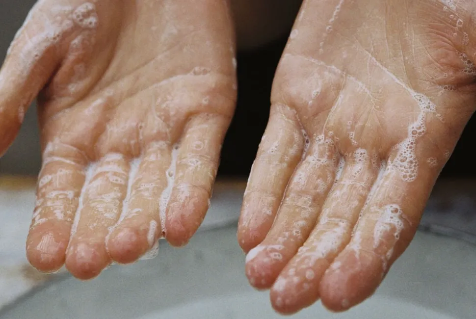 Hand & Body Wash Sage/Rosemary/Lavender 450 ml.