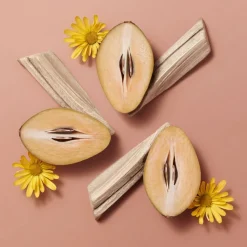Hermèsistible, Infused Care Oil