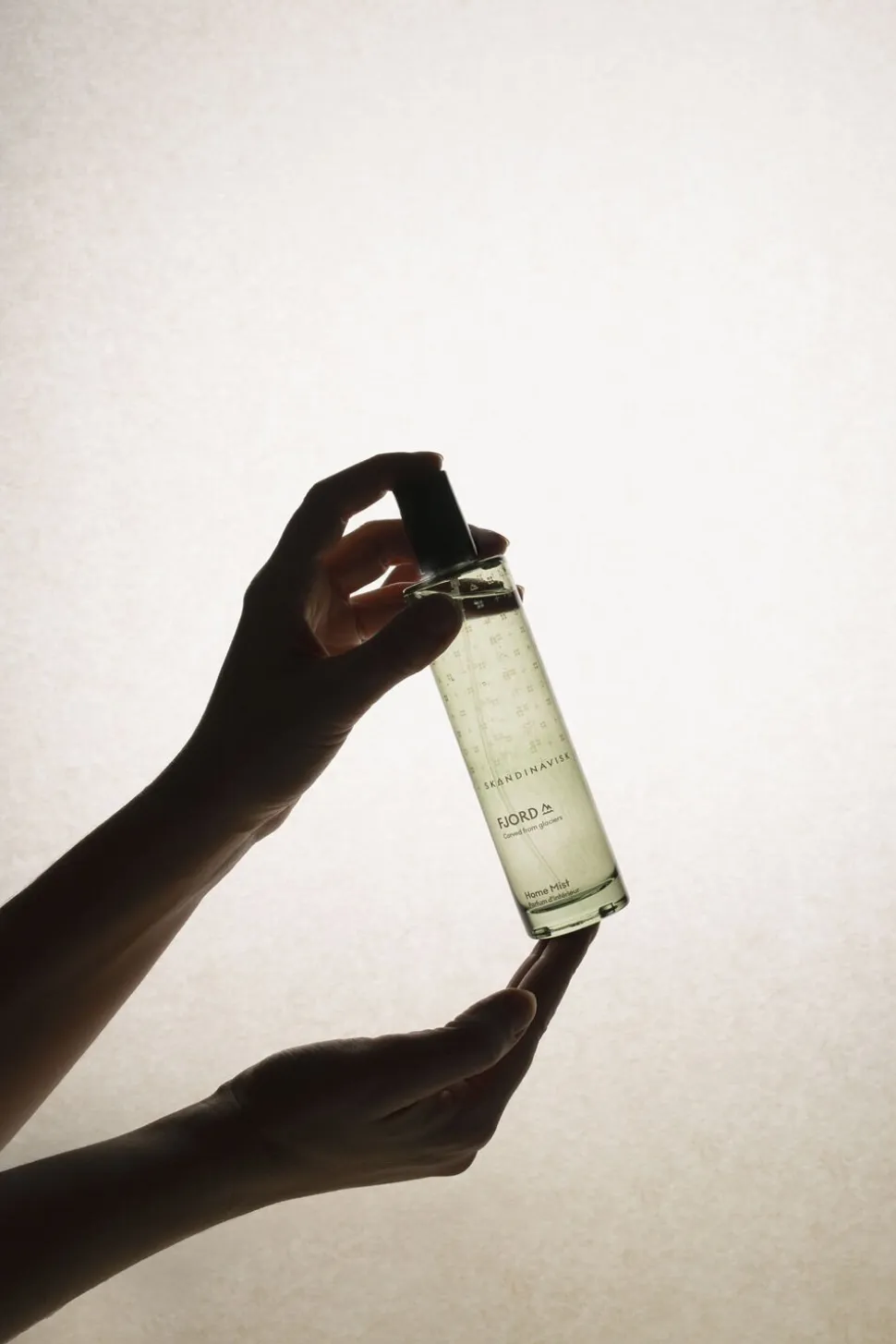 Home Mist FJORD 100ml