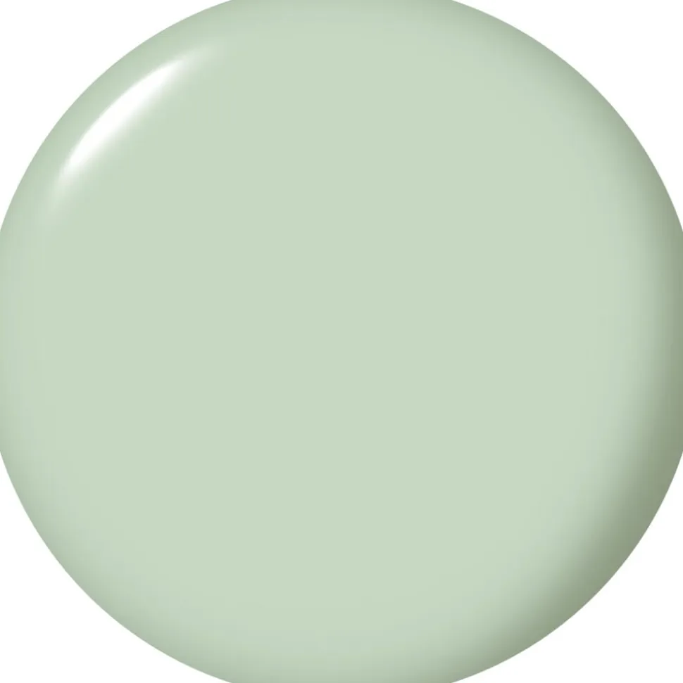 Infinte Shine - In Mint Condition