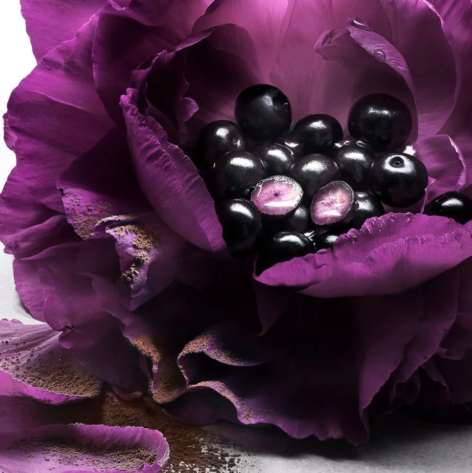 La Nuit Trésor Le Parfum