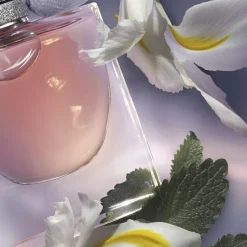 La Vie Est Belle Eau de Parfum