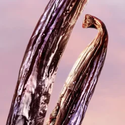 La vie est belle Vanille Nude Eau de Parfum