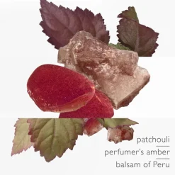 L'Ambre des Merveilles Eau de Parfum