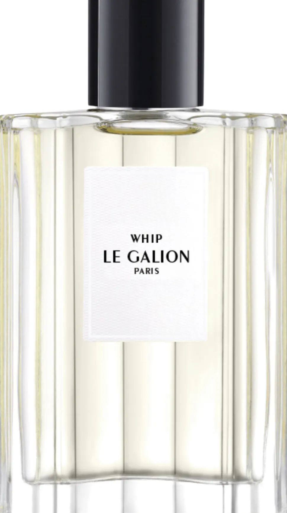 LE GALION Whip - EdP Natural Spray 100 ml