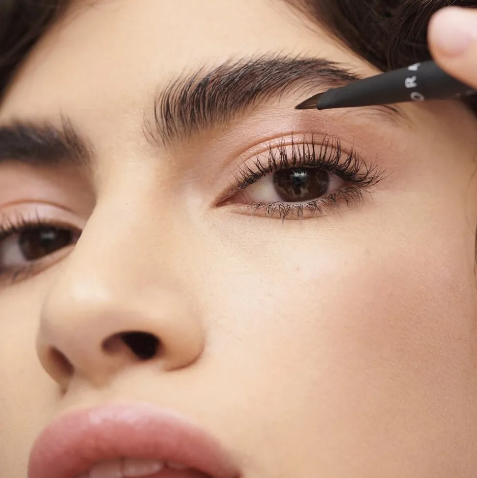 LE PINCEAU SOURCILS-24 12