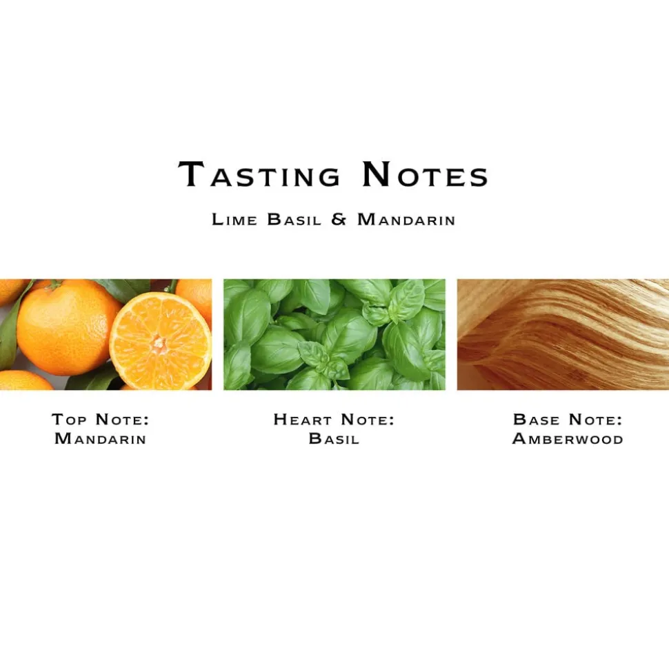 Lime Basil & Mandarin Cologne