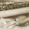 Litsea Buttplug