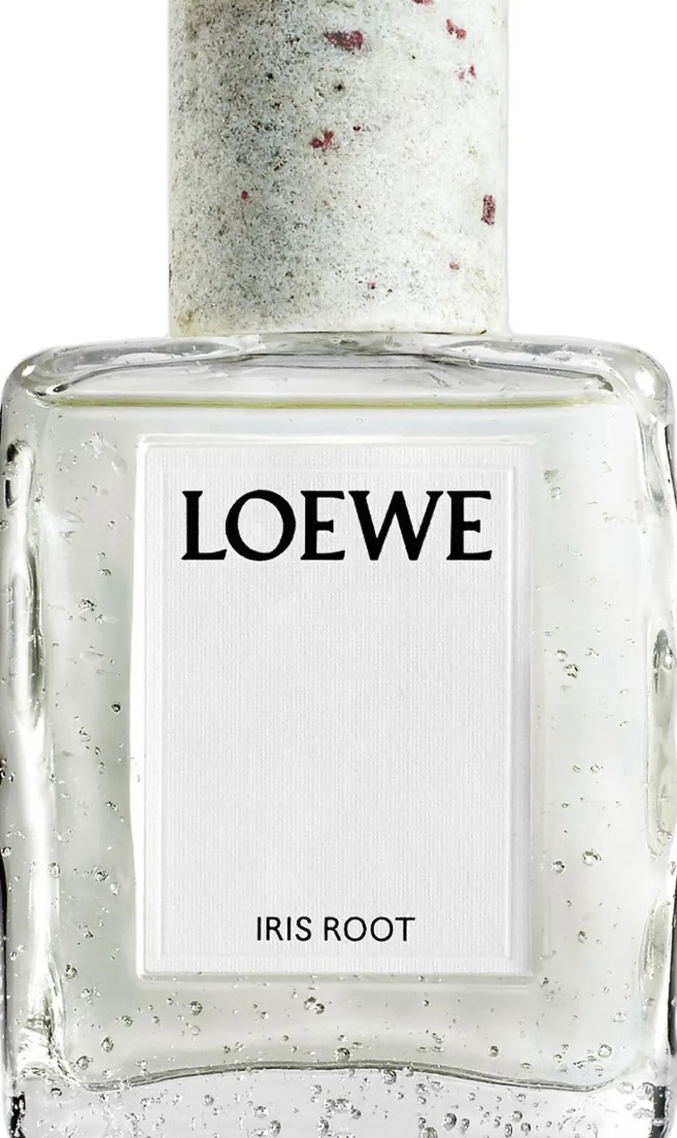 LOEWE Crafted Collection Iris Root Eau de Parfum 100 ml