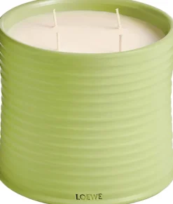 LOEWE Cucumber Candle