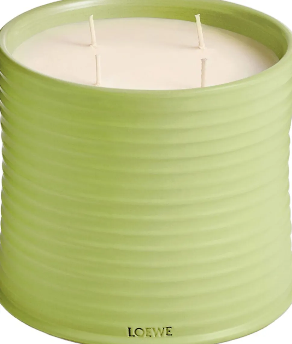 LOEWE Cucumber Candle