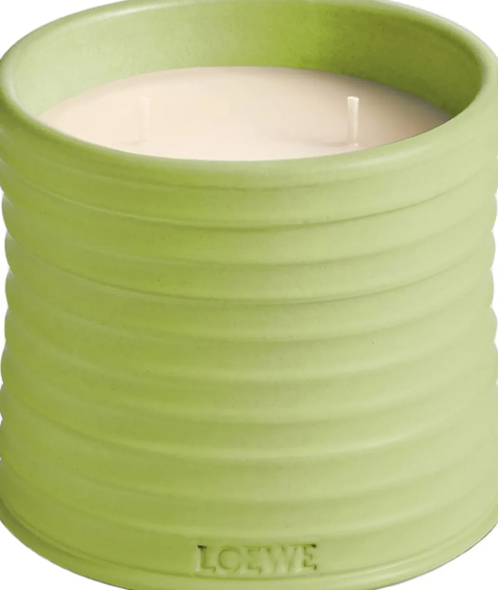LOEWE Cucumber Candle