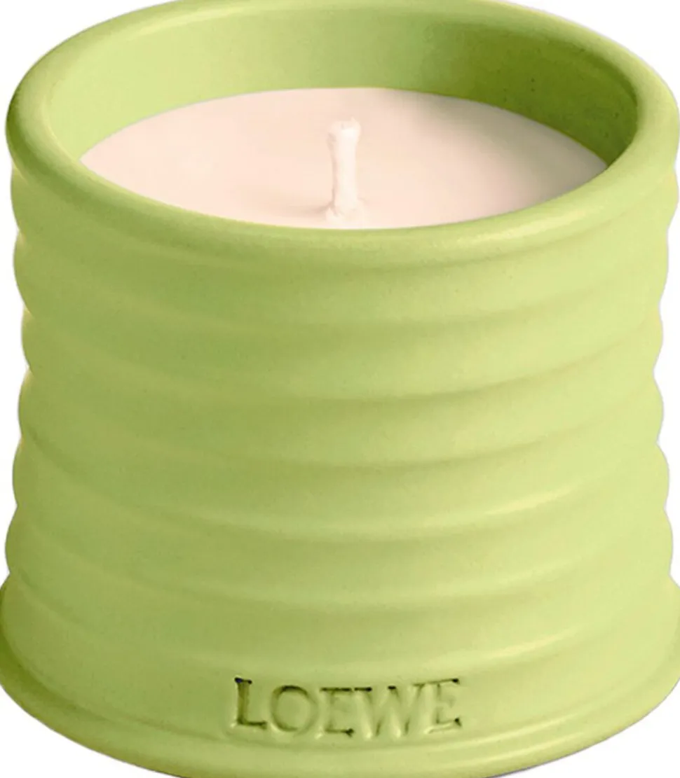 LOEWE Cucumber Candle