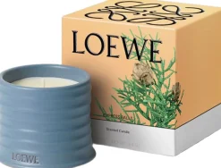 LOEWE Cypress Balls Candle